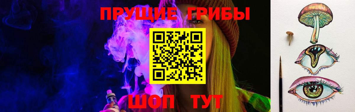 Ртищево  Псилоцибиновые грибы GOLDEN TEACHER  Псилоцибиновые грибы Psilocybine cubensis  Вход с VPN 